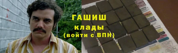 индика Беломорск